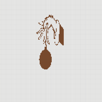 IMG_5571.png