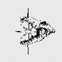 IMG_7546.jpeg