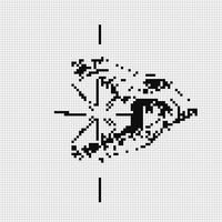 IMG_7546.jpeg