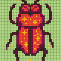 Copy of beetle.jpg