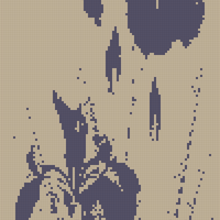 鸢尾花 性奴做的.png