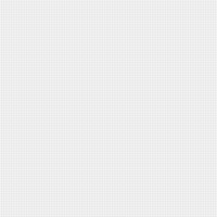 blank of front