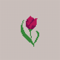 tulip 3