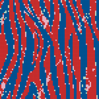 106582443-zebra-stripes-pattern-zebra-print-animal-skin-tiger-stripes-abstract-pattern-line-background-fabric-.jpg