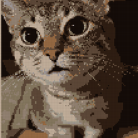 IMG_2343.jpeg