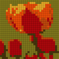 red-orange-tulip-portrait-red-orange-tulip-blurred-tulips-background-103805904.webp