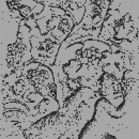 IMG_3931.jpeg