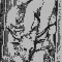IMG_3996.jpeg
