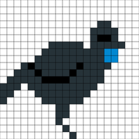 Kōkako