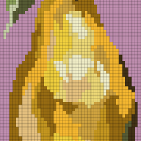 Copy of Pear Correct Ratio