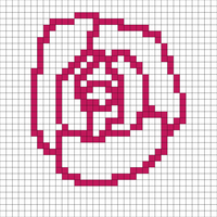 rose