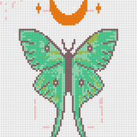Moth Wall Art Pattern