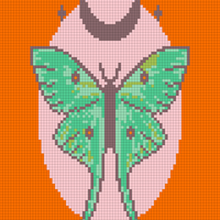 Copy of Moth Wall Art Pattern