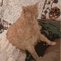 1000016919.jpg