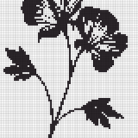 IMG_7040.png