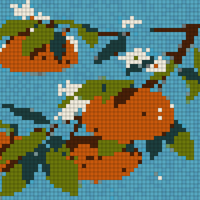 orange tree.jpg