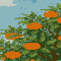 orange tree.jpg