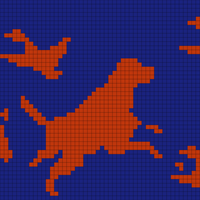 Hunting dog