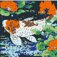 Koi fish 1