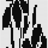 IMG_0002 (2).png