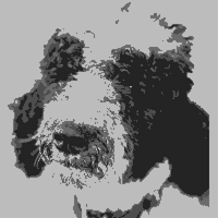 Hugo adult