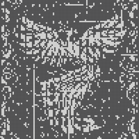 IMG_9033.jpeg
