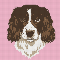 Copilot_20260519_170523.png