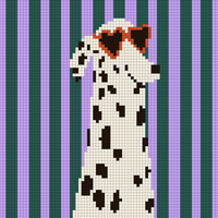 Copy of Cool Dàlmata.jpg