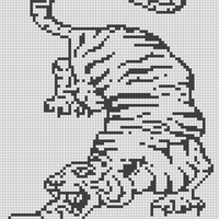Copy of Copy of Tiger graphic.jpg