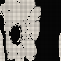 IMG_2029.png