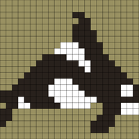 Orca
