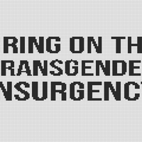 BRING ON THE TRANS INSURGENCY (2).png