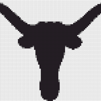 Copy of Copy of black-texas-longhorns-logo-png-6.png