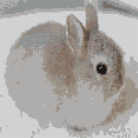 IMG_5927.jpeg