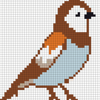 bird.jpg