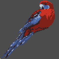 2048px-platycercus-elegans-brunkerville.webp