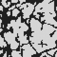 Vesta2.png