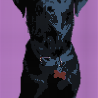 IMG_9911-removebg-preview.png