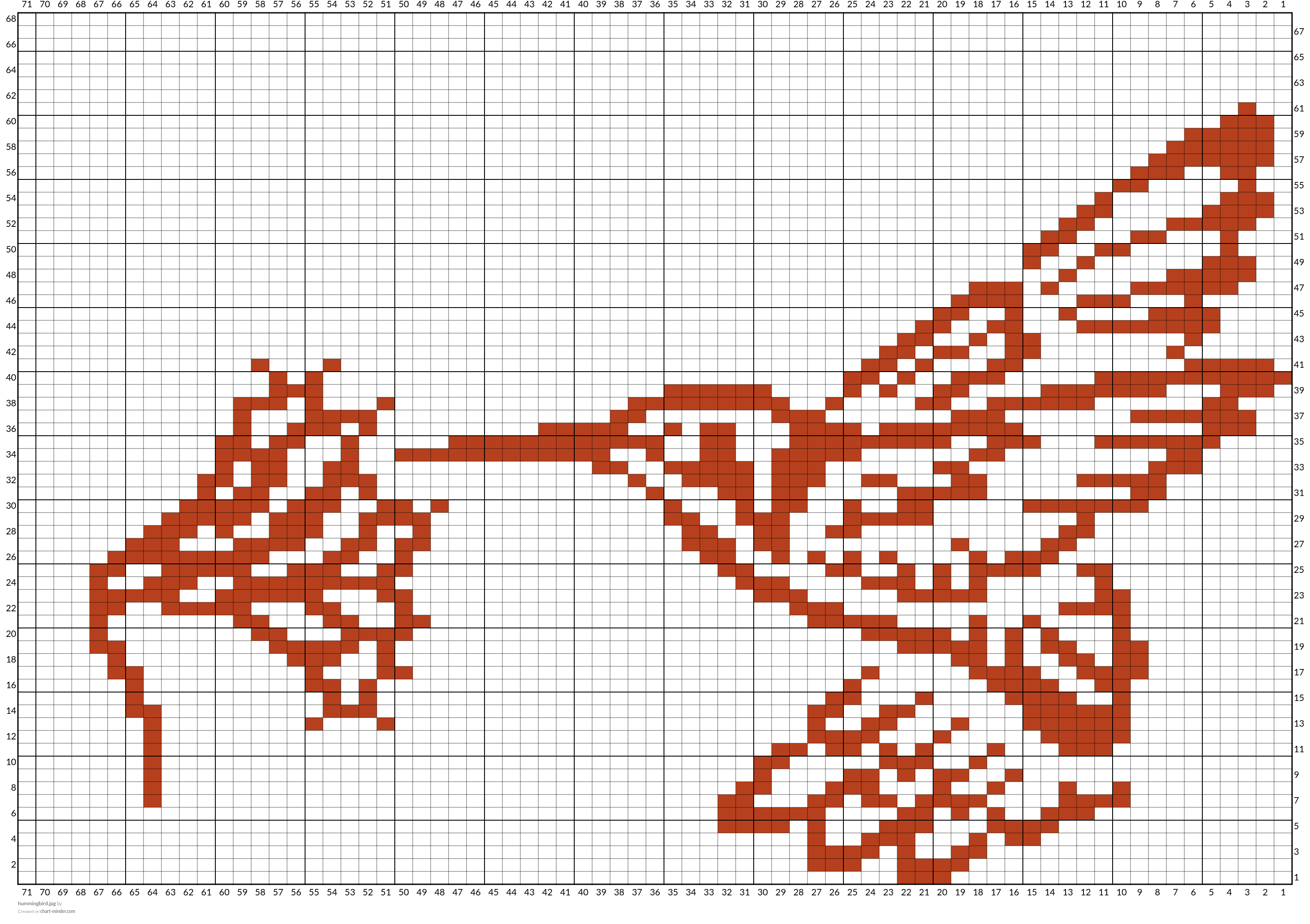 hummingbird.jpg