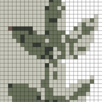 137511438_441326736905846_281050642848609880_n.jpg