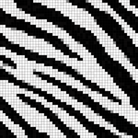 zebra print.jpg