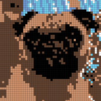 Screen Shot 2021-01-24 at 1.09.59 PM.png