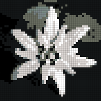Brosche-Edelweiss.jpg