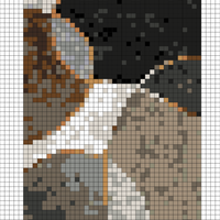 ympyrät.webp
