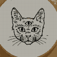 gato.jpg
