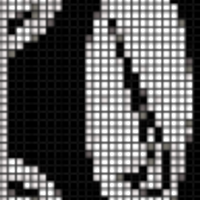 tn scarf.PNG
