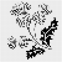 Copy of 8AE80774-1022-41F0-849B-91D9BD1E7D67.jpeg
