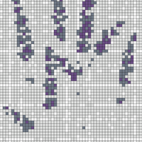 lavender.jpg