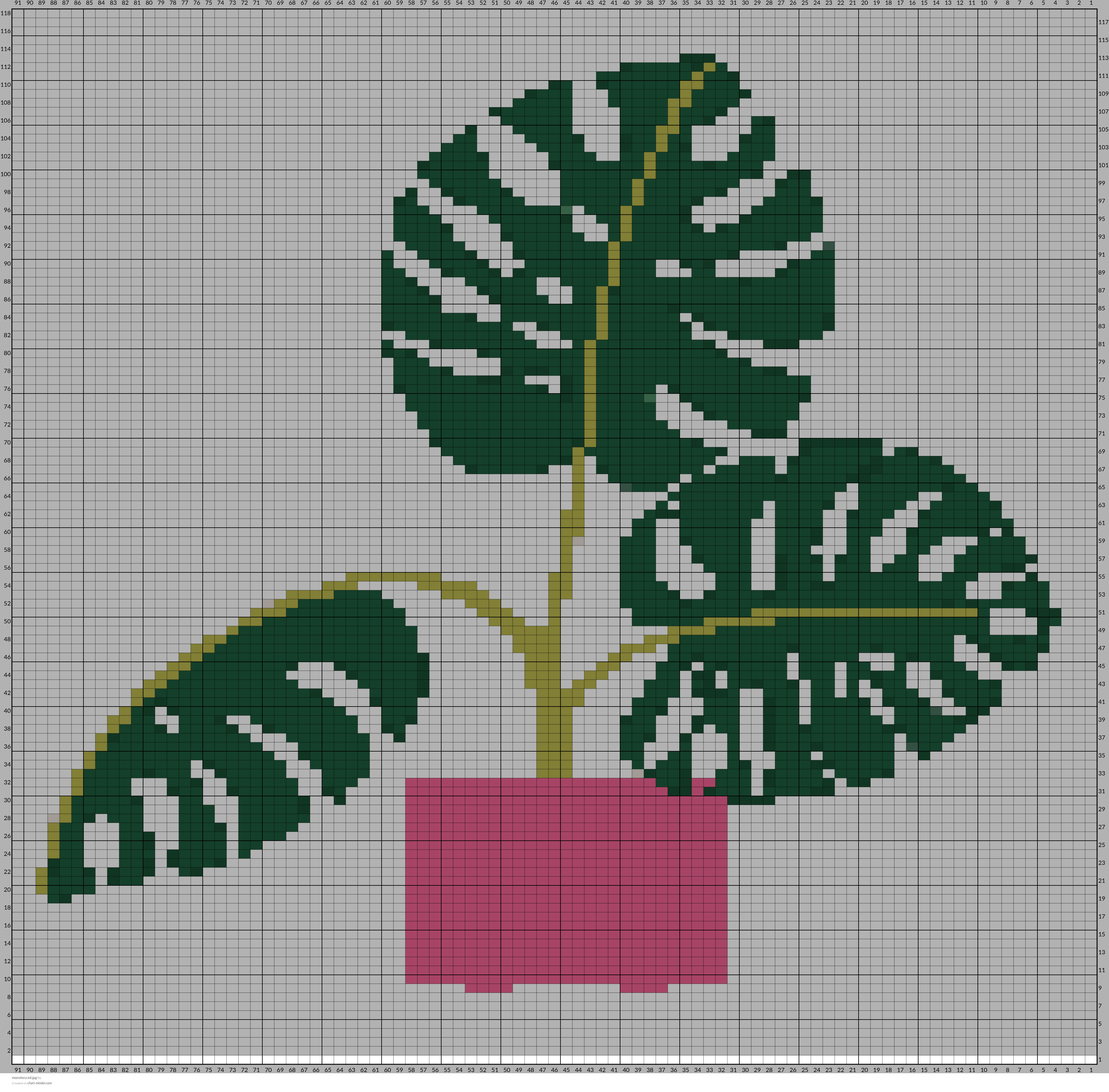 monstera ed.jpg