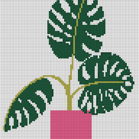 monstera ed.jpg